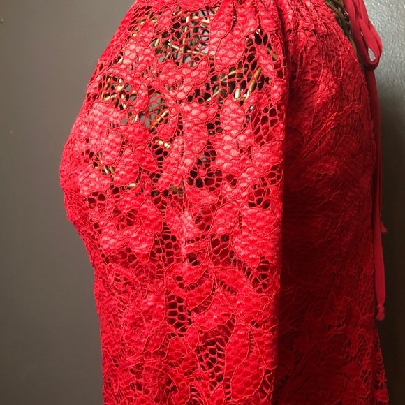 Xtraordinary Red Lace Dress With Lining Size Small - Picture 4 of 8